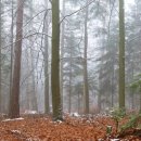 소래미소치과의원 이미지