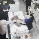 청원동물병원 이미지