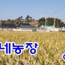신지농장 이미지