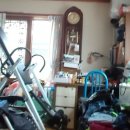 박영태농장 이미지