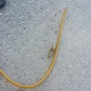 시원바이오텍 이미지