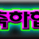 카페백서향 이미지