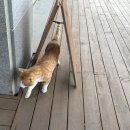 속초고등학교 | 37개월 아기랑 속초 아쿠아숲 수족관카페 다녀온 리얼후기