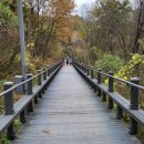 강동-길동-2770 이미지