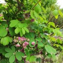 길목농장 이미지