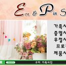 이브엔핀스튜디오 이미지