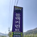 왕베리농원 이미지