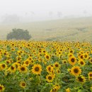 J·H농장 이미지