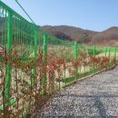 효원농장 이미지