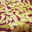 닥터강이비인후과의원 이미지