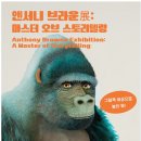 스토리텔링 이미지