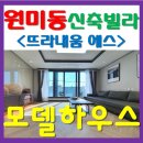 뜨라내움 이미지