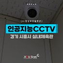 연성프라자 이미지