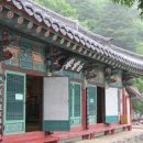 (주)드림모터스 이미지