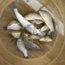 월척낚시터 이미지