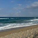 지오프론트 | 양양 감성숙소 펜션 지오파인트리 오션뷰 후기