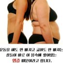 편백효소방 이미지