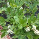 수장농장 이미지