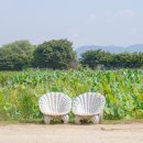 씨유 가평쉼터점 | 서울 근교 당일치기 여행코스 양평 두물머리 핫도그 연꽃 주차장