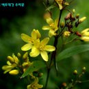 꽃들나라 - 계양구 새벌로 130 | 꽃들나라