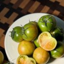 달코미상회 이미지