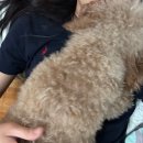 UR(의정부시)-[평화로]-하-35 | 25년에도 그냥 꼭 안아주면 되 ..