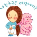로렘디자인 이미지