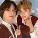 범규 카카오 검색결과