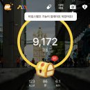 야채마당 - 춘천시 벌말길 26-14 | 야채마당