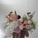 시연화다 네이버블로그