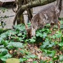 한라컴퓨터 이미지