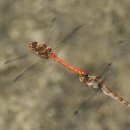 물빛공원 농구장 이미지