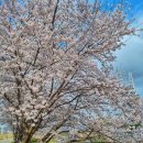 정남치과의원 이미지