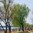 용비쉼터 이미지