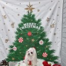 라이크멍 이미지