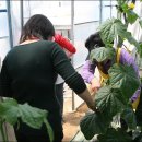 시냇물 2 농장 이미지