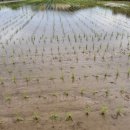 고금체육관 이미지