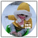 집현전문구 이미지