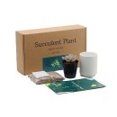 다육꽃세상 이미지