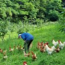 목욕농장 이미지