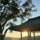 스테이 아삭 이미지