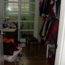 매화초앞 이미지