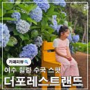 돌산배드민턴장(숲길) | 여수 돌산 카페 수국이 만개한 자연 속 힐링 공간 더포레스트랜드 재방문 후기