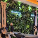 (주)메디발란스 이미지