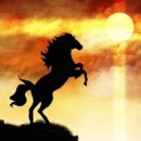 새황금공인중개사사무소 이미지