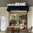 세종문화회관 카페베네 예술동 | 카페베네에 신메뉴가 나왔다는데?! 하지만....!