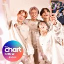 에이스 캣 이미지