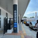 아레나 수영장 이미지