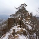 한승훈 카카오 검색결과