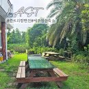 컨트리팜 | 제주 성산 펜션 컨트리팜 가성비 가족 숙소